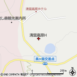 清里高原ホテル周辺の地図