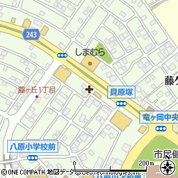 ローヤル２１藤ヶ丘店周辺の地図