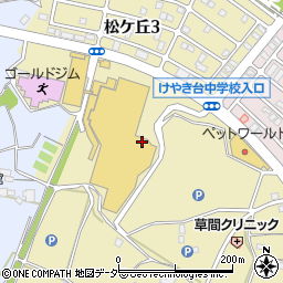 株式会社ジョイフル本田 守谷店周辺の地図