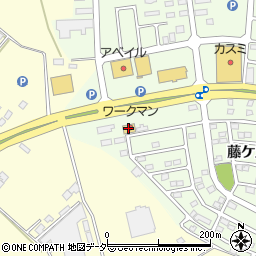 ワークマン竜ヶ崎店周辺の地図