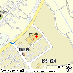 株式会社サンキ　龍ケ岡店周辺の地図