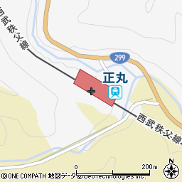 埼玉県飯能市周辺の地図