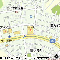 フードマーケットカスミ龍ヶ岡店周辺の地図