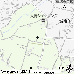 埼玉県さいたま市岩槻区真福寺1100-1周辺の地図