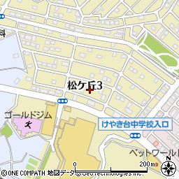 茨城県守谷市松ケ丘3丁目10周辺の地図