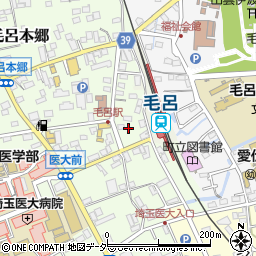 埼玉県入間郡毛呂山町毛呂本郷1307周辺の地図