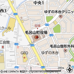 埼玉県毛呂山町（入間郡）周辺の地図