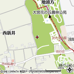 埼玉県さいたま市西区西新井339周辺の地図