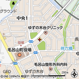 ビッグ・エー毛呂山長瀬店周辺の地図