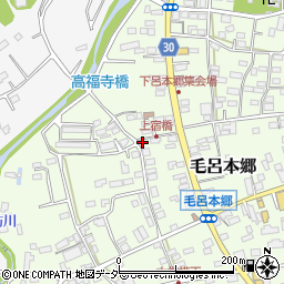 埼玉県入間郡毛呂山町毛呂本郷167周辺の地図