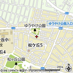 茨城県守谷市松ケ丘5丁目12周辺の地図