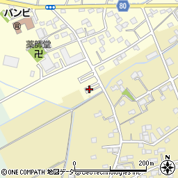 埼玉県さいたま市岩槻区増長99周辺の地図