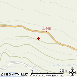 埼玉県秩父市大滝3658周辺の地図