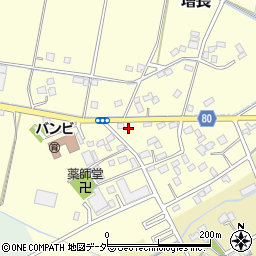 埼玉県さいたま市岩槻区増長169-3周辺の地図