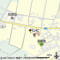 埼玉県さいたま市岩槻区増長111周辺の地図