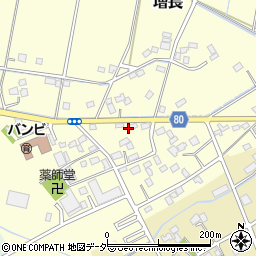 埼玉県さいたま市岩槻区増長174周辺の地図