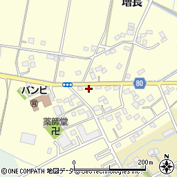 埼玉県さいたま市岩槻区増長169周辺の地図