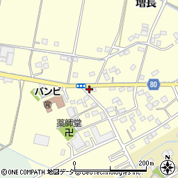 埼玉県さいたま市岩槻区増長170周辺の地図