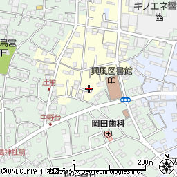 千葉県野田市清水11周辺の地図