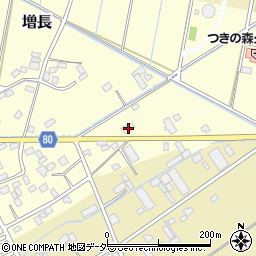 埼玉県さいたま市岩槻区増長245周辺の地図