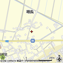 埼玉県さいたま市岩槻区増長290周辺の地図