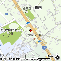 安楽亭 野田店周辺の地図