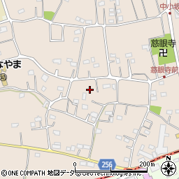 埼玉県坂戸市中小坂379周辺の地図