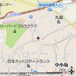 埼玉県坂戸市中小坂973-9周辺の地図