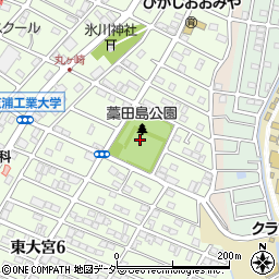 藁田島公園周辺の地図