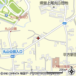 埼玉県上尾市平方3136周辺の地図