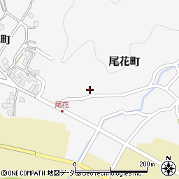 福井県鯖江市尾花町9-36周辺の地図