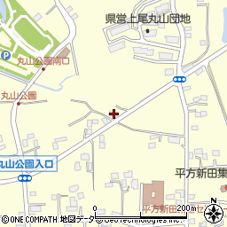 埼玉県上尾市平方3169-4周辺の地図