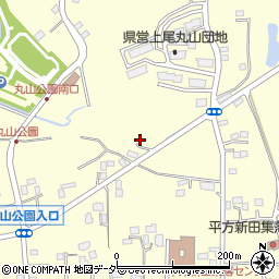 埼玉県上尾市平方3166周辺の地図