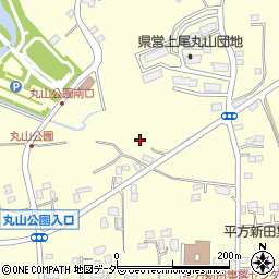 埼玉県上尾市平方3164周辺の地図