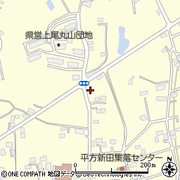 埼玉県上尾市平方3988周辺の地図