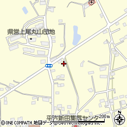 埼玉県上尾市平方3971周辺の地図