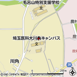 埼玉県入間郡毛呂山町川角980周辺の地図