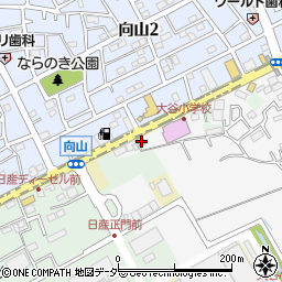埼玉県上尾市大谷本郷704周辺の地図