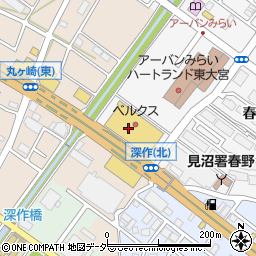 埼玉県さいたま市見沼区春野2丁目8周辺の地図