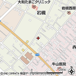 埼玉県さいたま市岩槻区岩槻5119周辺の地図