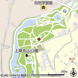 埼玉県上尾市平方3296周辺の地図
