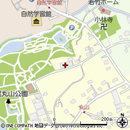 埼玉県上尾市平方3333周辺の地図