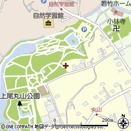 埼玉県上尾市平方3337周辺の地図