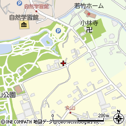 埼玉県上尾市平方3335周辺の地図