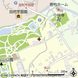 埼玉県上尾市平方3336周辺の地図
