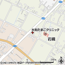 埼玉県さいたま市岩槻区岩槻5218周辺の地図