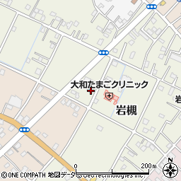 埼玉県さいたま市岩槻区岩槻5216-2周辺の地図