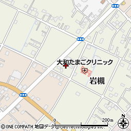 埼玉県さいたま市岩槻区岩槻5216-1周辺の地図