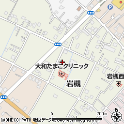 埼玉県さいたま市岩槻区岩槻5204周辺の地図