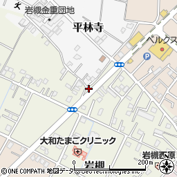 埼玉県さいたま市岩槻区岩槻5439周辺の地図